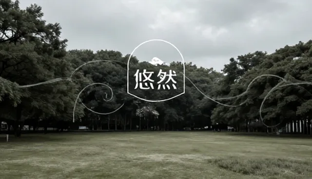 新媒体运营如何提升传播效率与效果